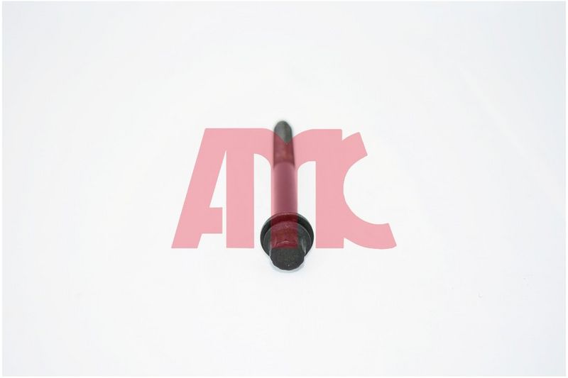 Federring, Abgasanlage