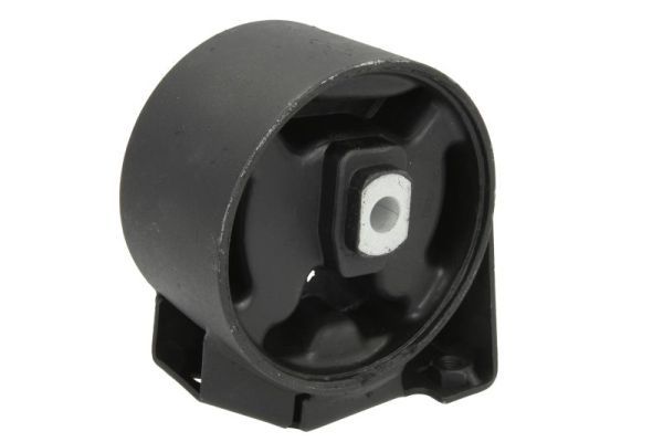 Halter, Motoraufhängung