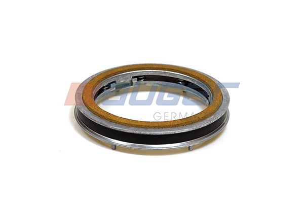 Dichtring, Achsschenkel (Federbock)