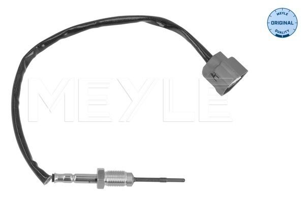 Sensor, Abgastemperatur