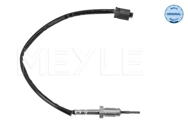 Sensor, Abgastemperatur