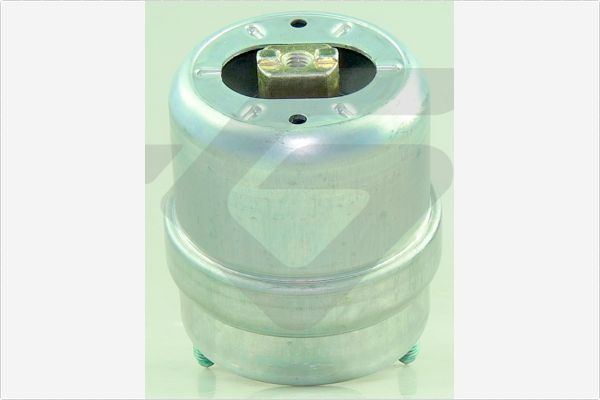 Halter, Kohlebürsten