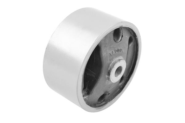 Halter, Motoraufhängung