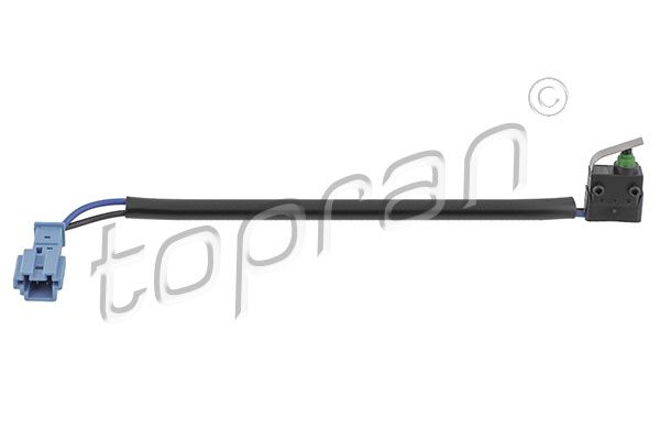 Schalter, Rückfahrleuchte