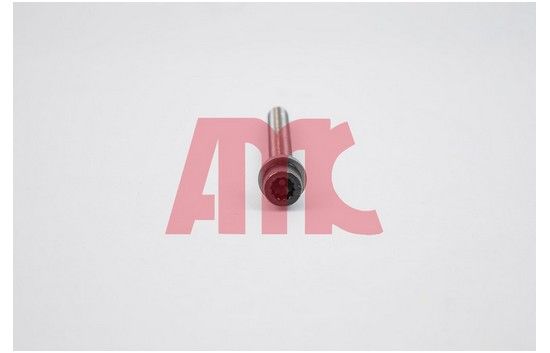 Mutter, Abgaskrümmer