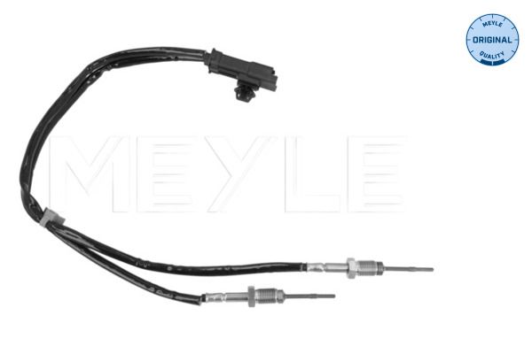 Sensor, Abgastemperatur