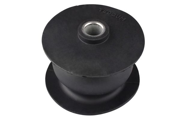 Halter, Motoraufhängung