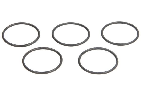 Dichtring, Einspritzventil