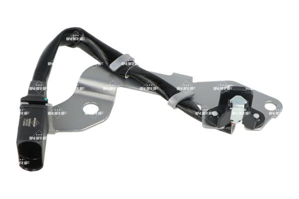 Riemenscheibe, Kurbelwelle