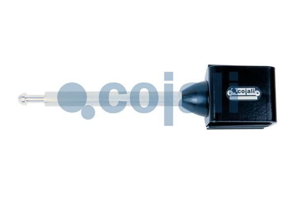 Federungskörper, Luftfederung