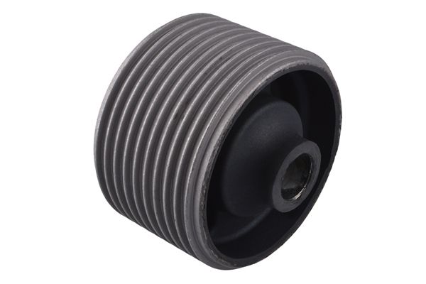 Halter, Motoraufhängung