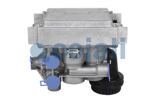 Dichtung, Steuergehäuse