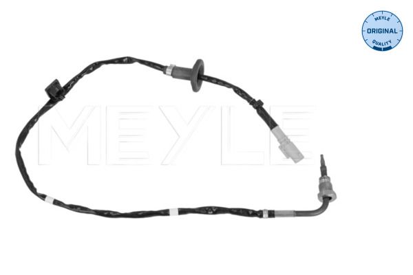 Sensor, Abgastemperatur