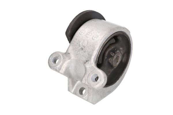 Halter, Motoraufhängung