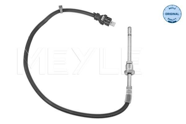Sensor, Abgastemperatur