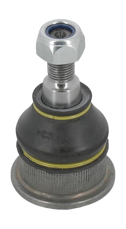 Trag-/Führungsgelenk