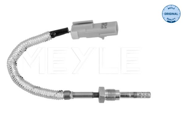 Sensor, Abgastemperatur