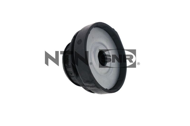 Federbeinstützlager