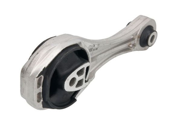 Halter, Motoraufhängung