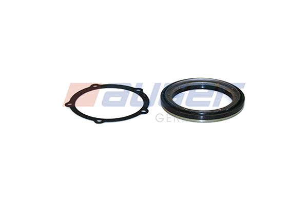 Reparatursatz, Radnabe