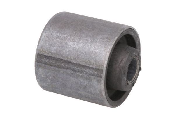 Stange/Strebe, Radaufhängung