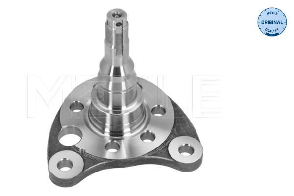 Achsschenkel, Radaufhängung