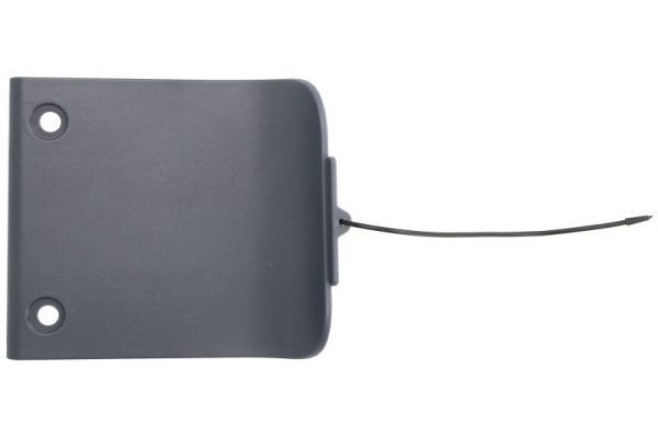 Türschwellen - Trittbrett