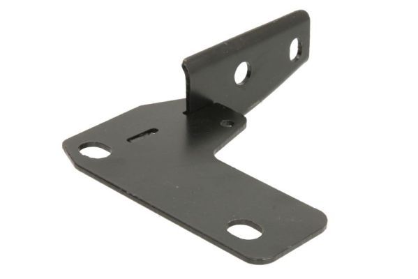 Türschwellen - Trittbrett