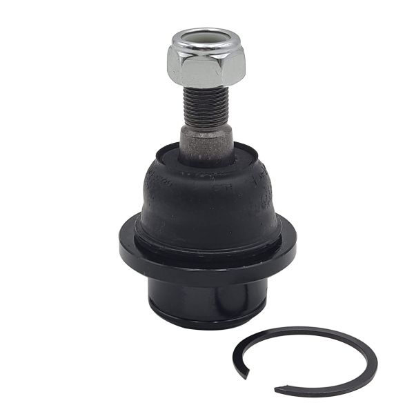 Trag-/Führungsgelenk