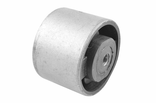 Halter, Motoraufhängung