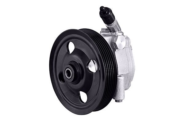 Hydraulikpumpe, Lenkung