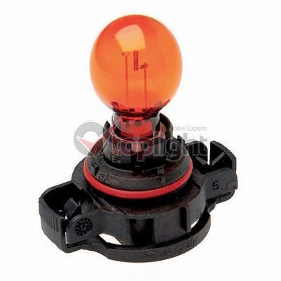 Halter, Kraftstoffleitung-Einspritzpumpe