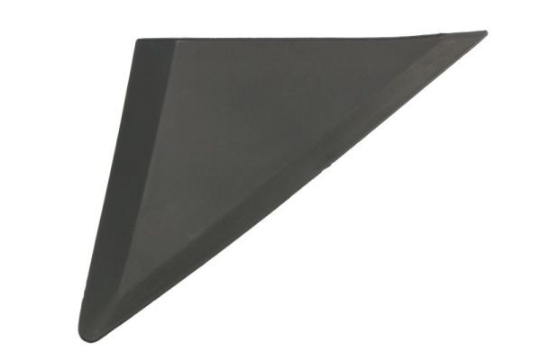 Außenspiegel - Blende