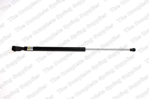 Gasfeder, Koffer-/Laderaum