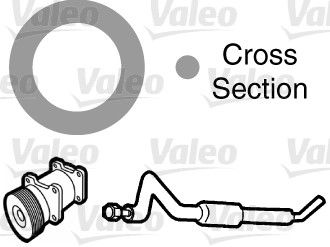 Dichtring, Einspritzventil