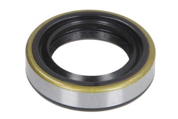 Wellendichtring, Einspritzpumpe