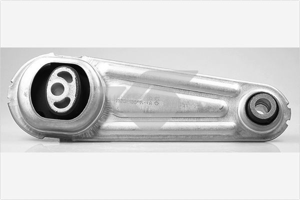 Halter, Motoraufhängung