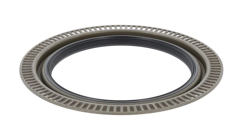 Wellendichtring, Differential