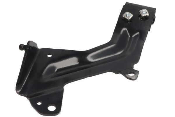 Halter, Kühlergitter