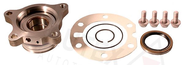 Federbeinstützlager