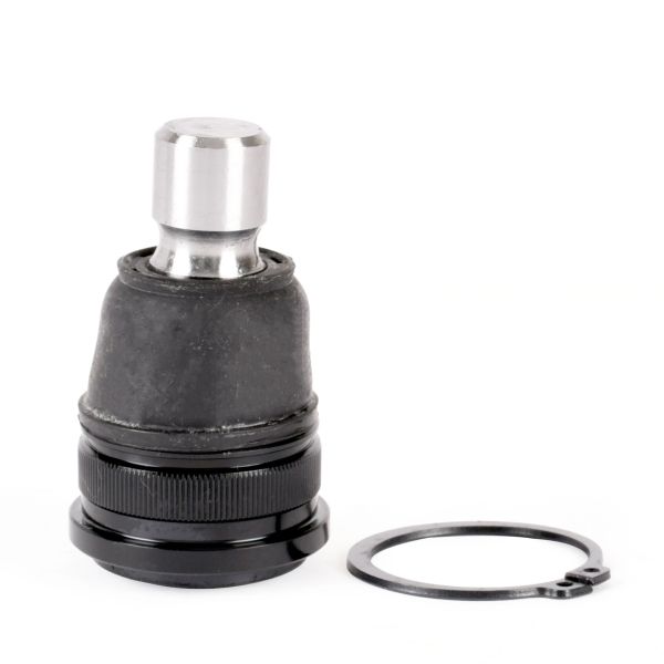 Trag-/Führungsgelenk