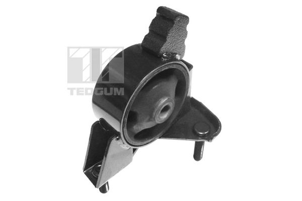 Halter, Motoraufhängung