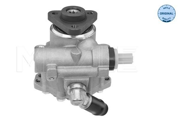 Hydraulikpumpe, Lenkung