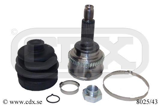 Federbeinstützlager