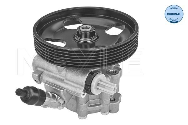 Hydraulikpumpe, Lenkung