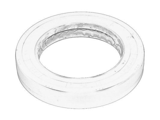 Wellendichtring, Differential