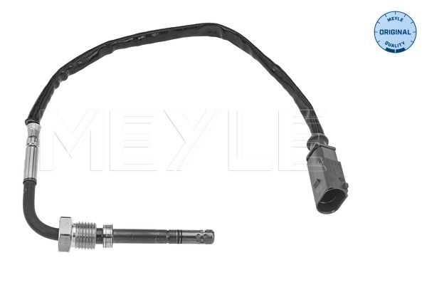Sensor, Abgastemperatur