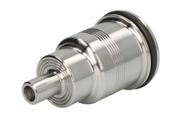 Dichtring, Einspritzventil