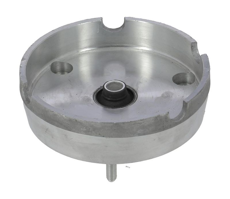 Federbeinstützlager