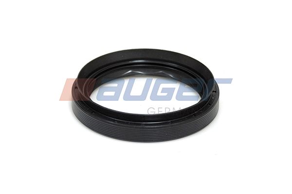 Dichtring, Achsschenkel (Federbock)